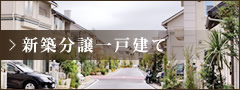 新築分譲一戸建て